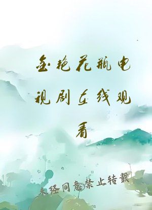 金艳花瓶电视剧在线观看